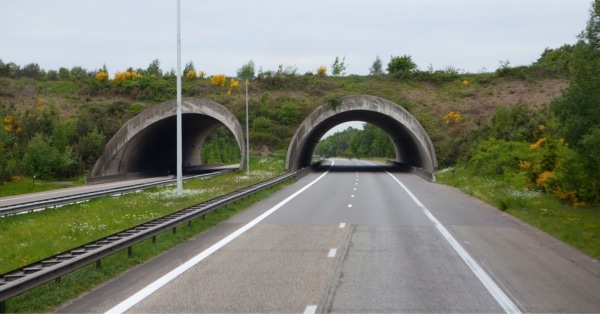 Autobahn בכביש המהיר של גרמניה